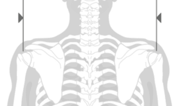 profile.png